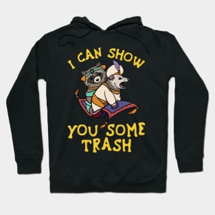 Raccoon I Can Show You Some Trash Hoodie